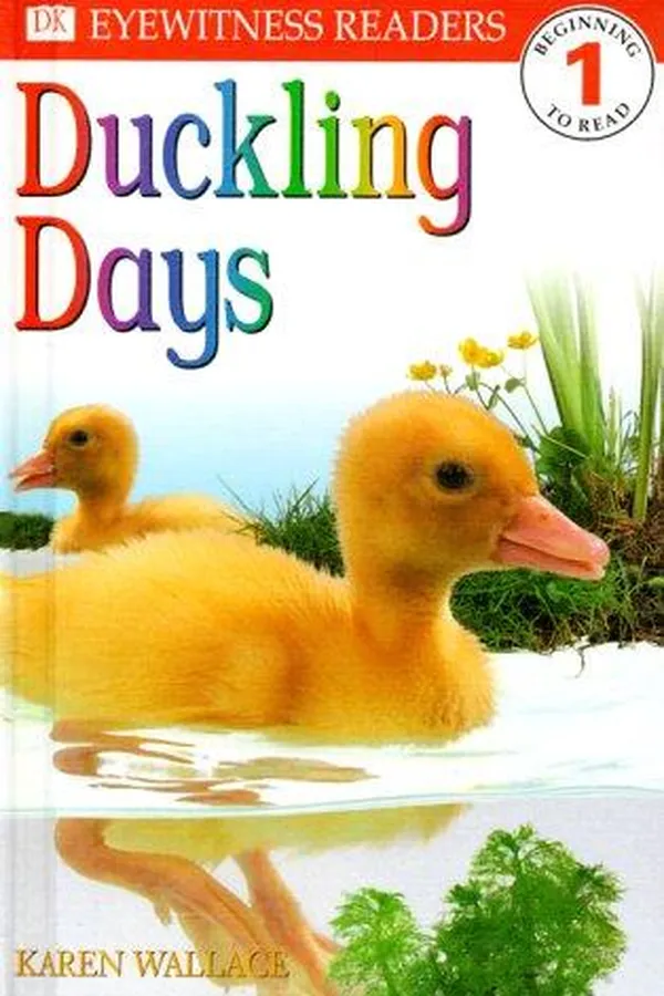 Capa de Duckling days