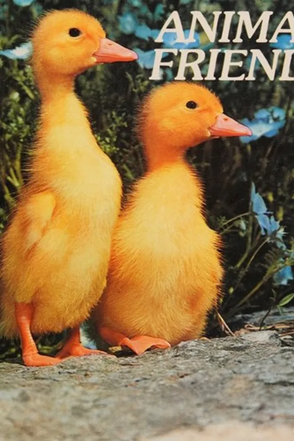 Capa de Animal friends