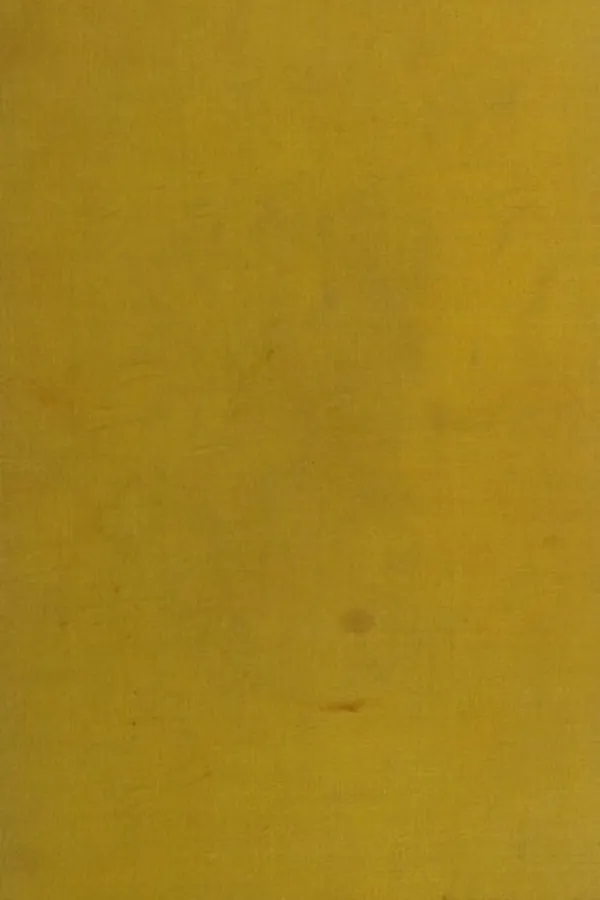Capa de Night journey