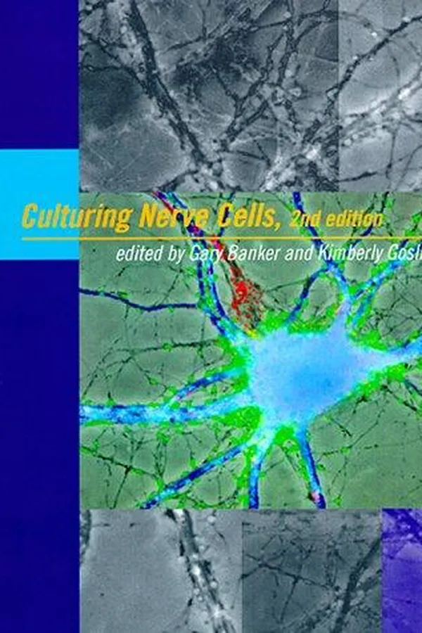 Capa de Culturing nerve cells