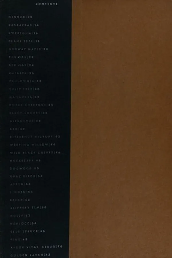 Cover of A first book of tree identification