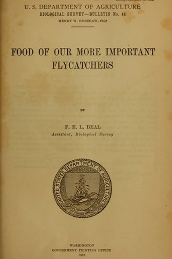 Capa de Food of our more important flycatchers