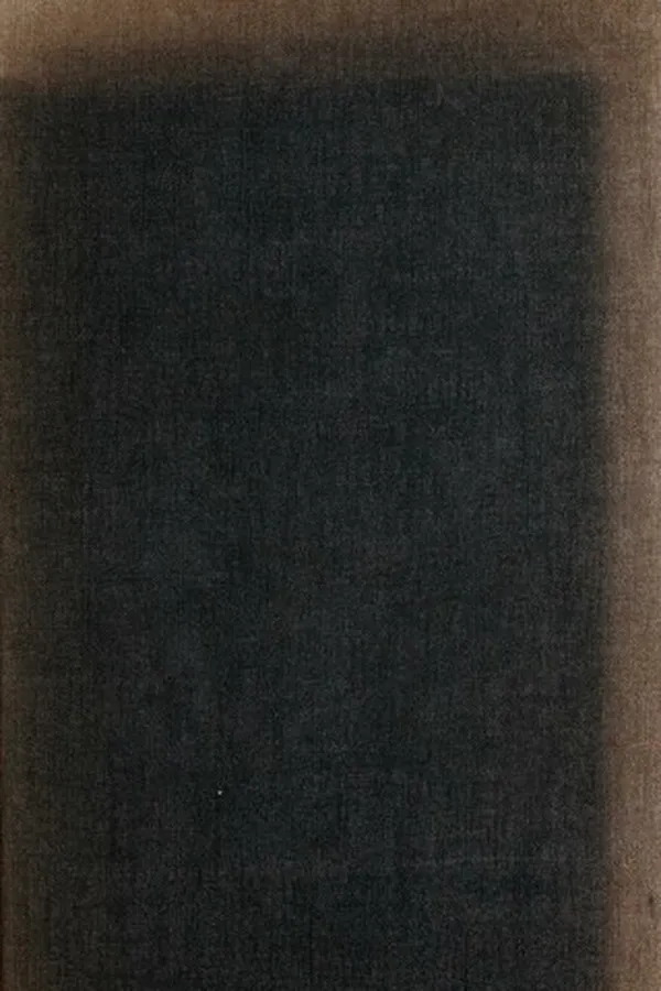 Capa de Government and politics in the twentieth century