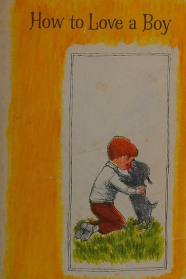 Cover of How to love a boy