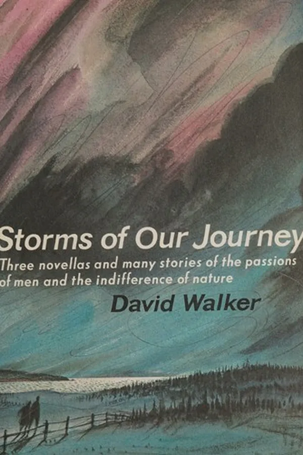 Capa de Storms of our journey