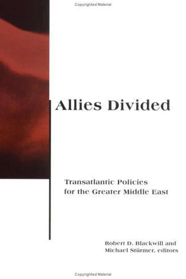 Cover of Allies divided