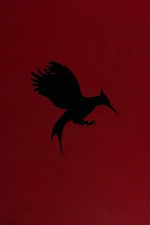 Capa de Catching Fire