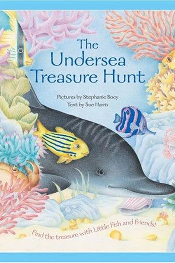 Capa de The undersea treasure hunt