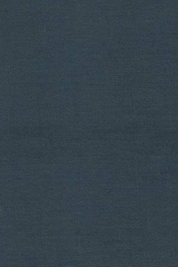 Capa de The presence of Pessoa