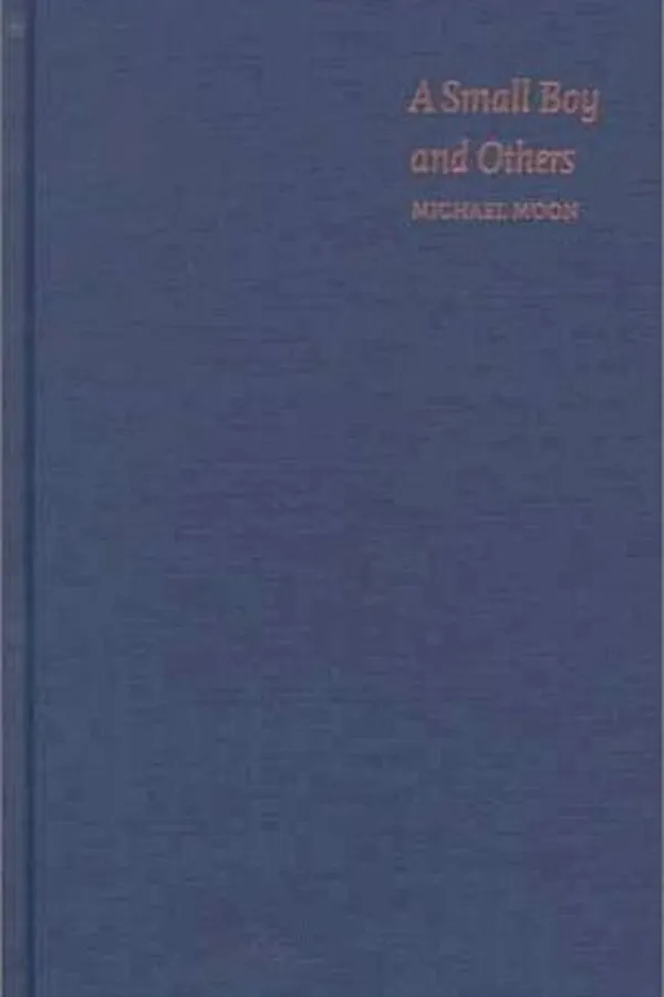 Capa de A small boy and others