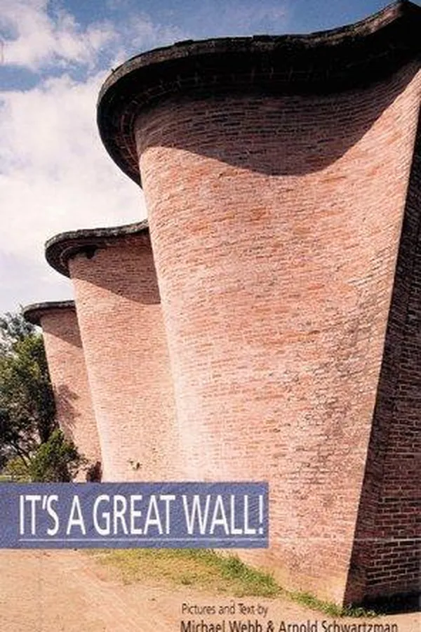 Cover of It's a great wall!