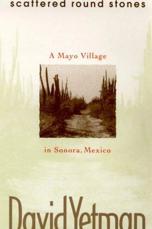 Cover of Scattered round stones