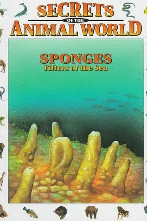 Capa de Sponges