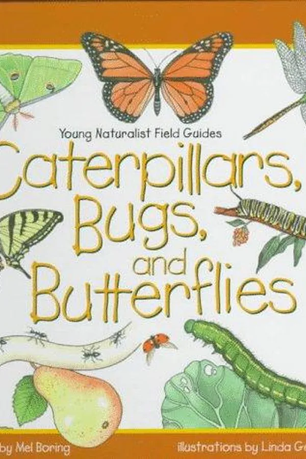 Capa de Caterpillars, bugs, and butterflies
