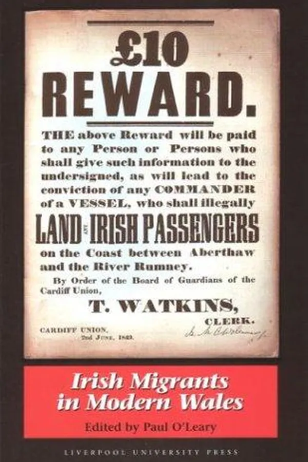 Capa de Irish migrants in modern Wales