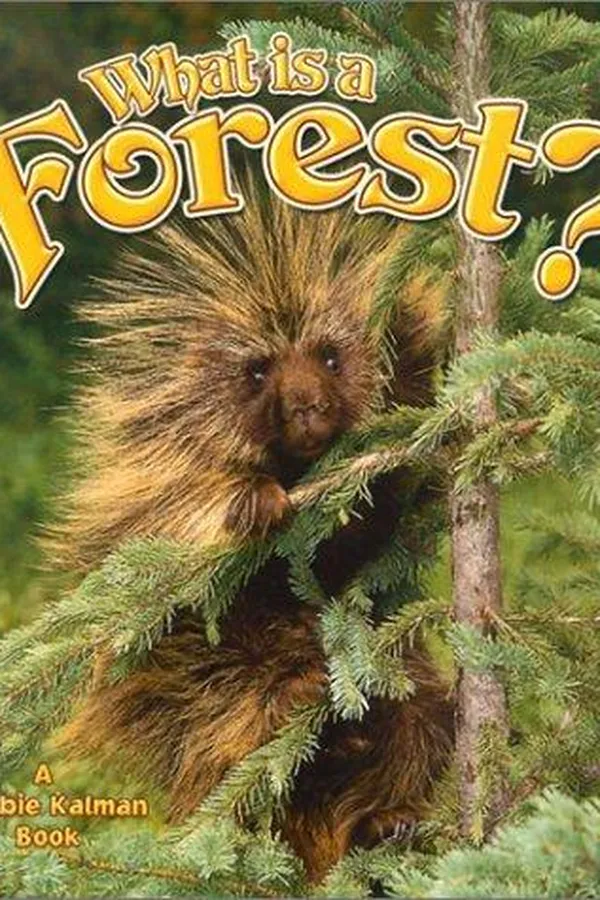 Capa de What Is a Forest (Science of Living Things)