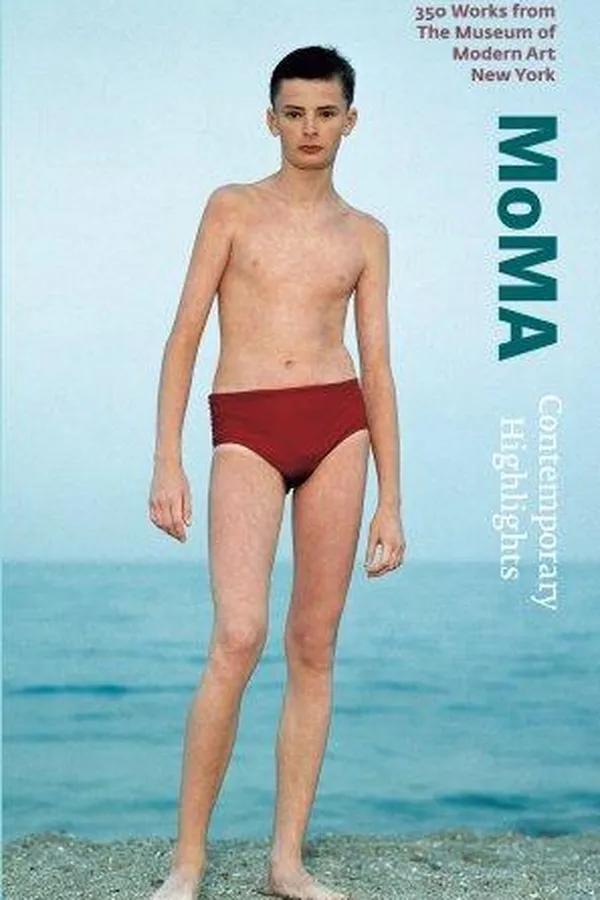 Capa de MOMA, highlights since 1980