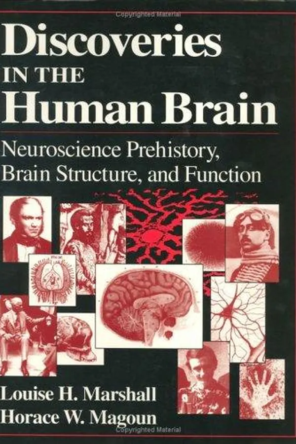 Capa de Discoveries in the human brain