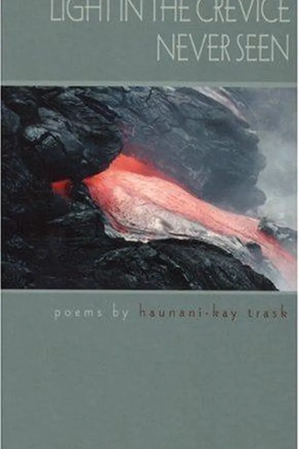 Capa de Light in the crevice never seen