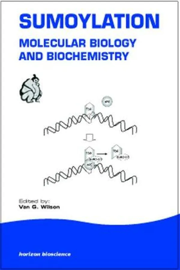 Capa de Sumoylation
