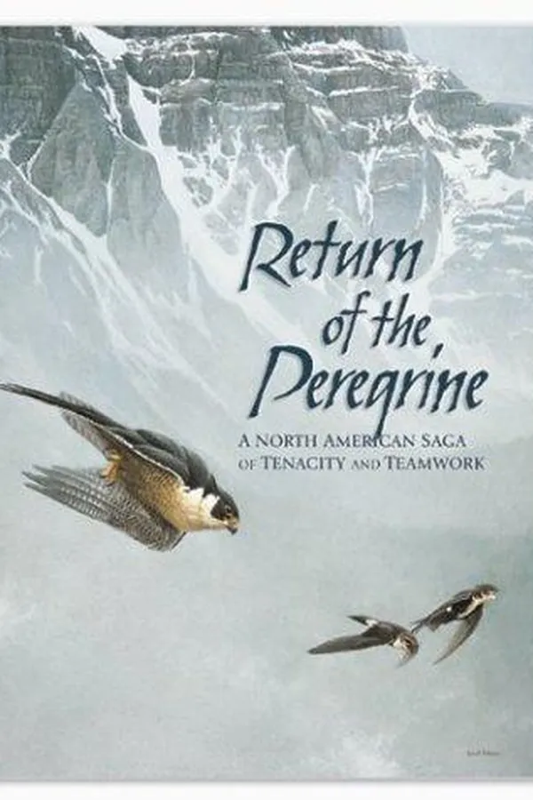 Capa de Return of the peregrine