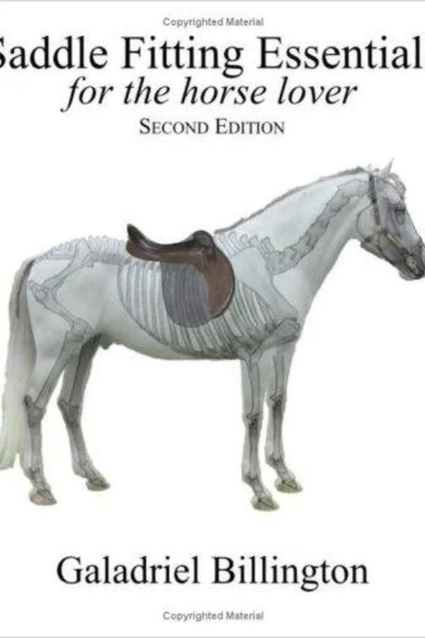 Capa de Saddle Fitting Essentials