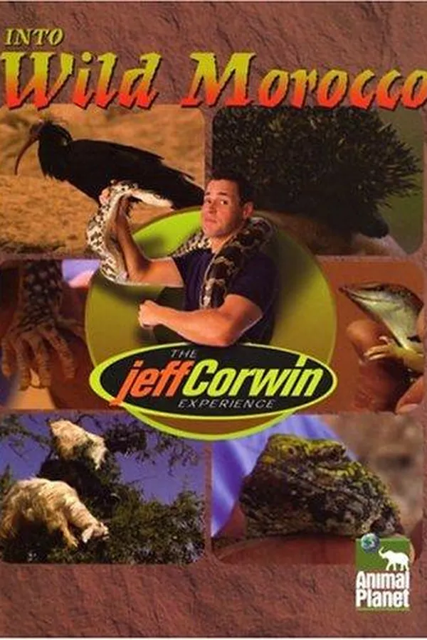 Capa de Into wild Morocco