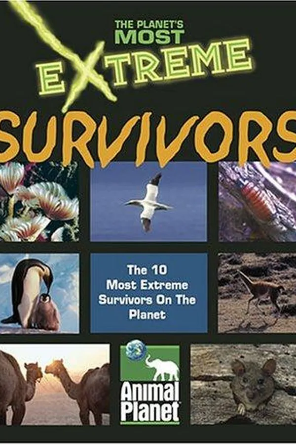 Capa de Extreme survivors