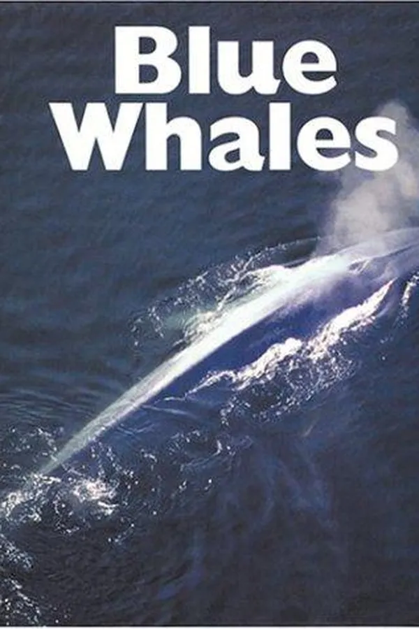 Capa de Blue whales