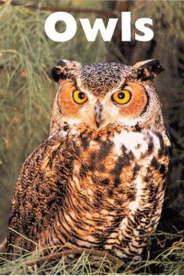 Capa de Owls