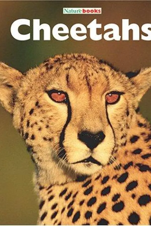 Capa de Cheetahs