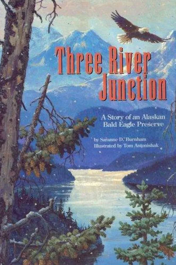 Cover of Three river junction