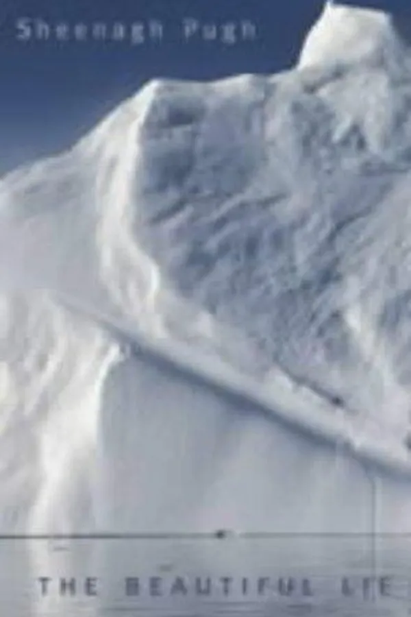 Capa de The beautiful lie