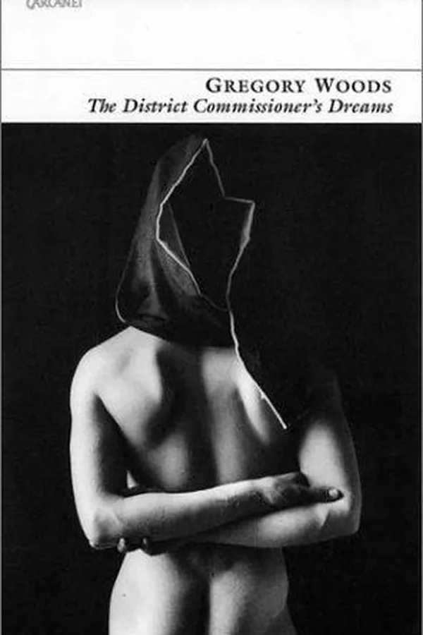 Capa de The flame-coloured dress and other stories
