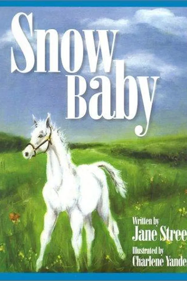 Cover of Snow Baby