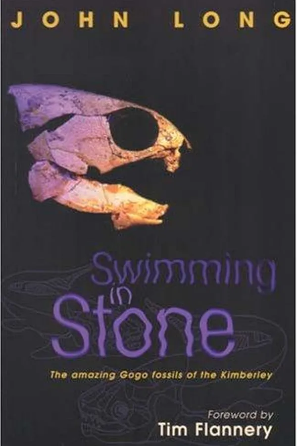 Capa de Swimming in stone