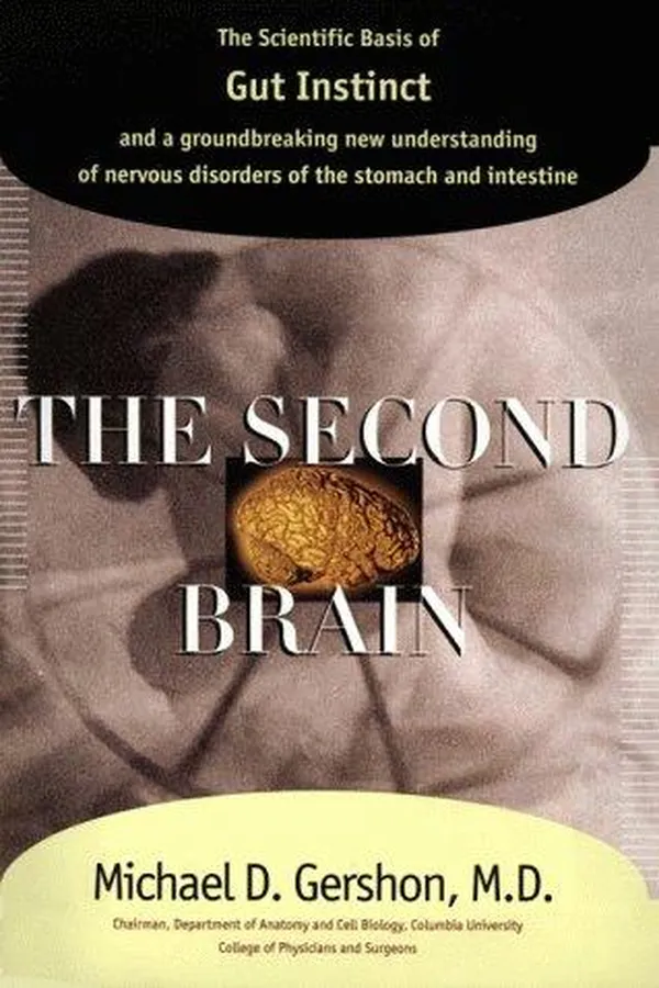 Capa de The second brain