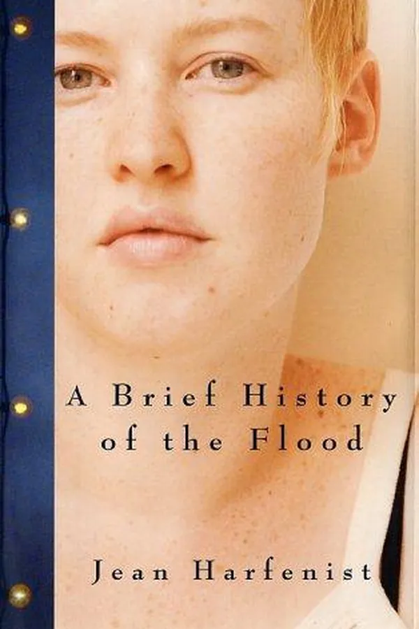 Capa de A brief history of the flood
