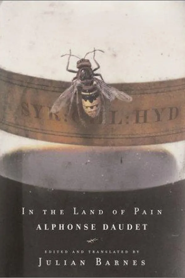 Capa de In the land of pain