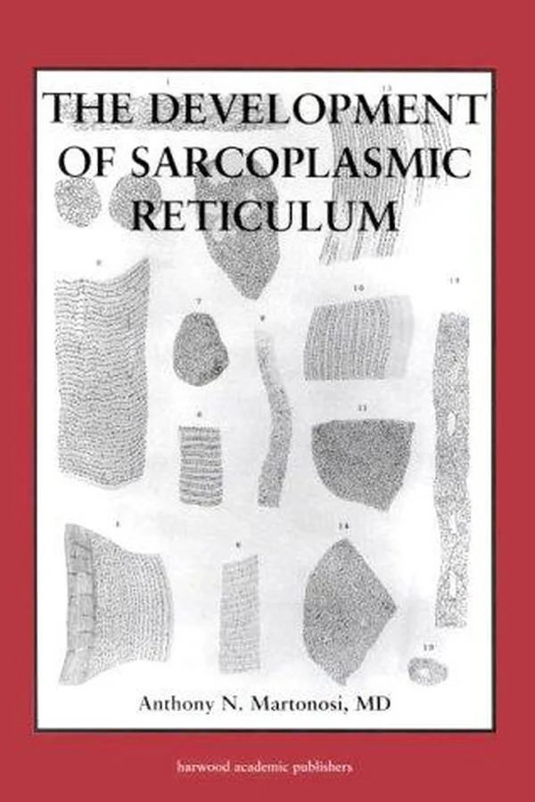 Capa de The development of sarcoplasmic reticulum