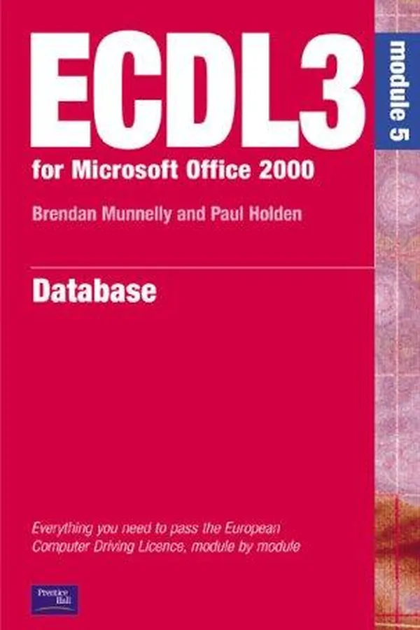 Capa de Databases