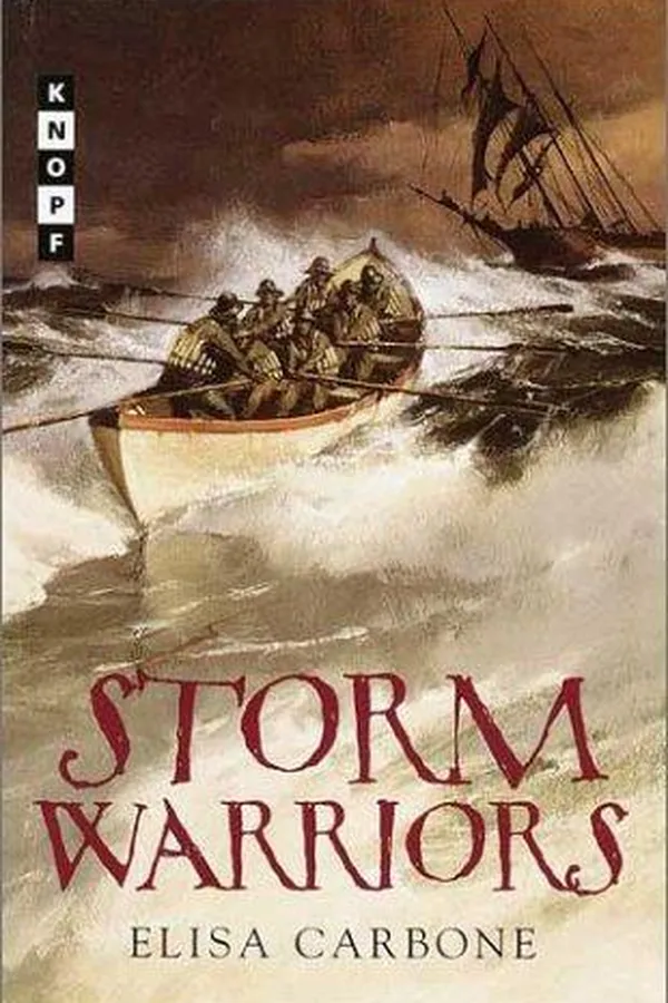 Capa de Storm warriors