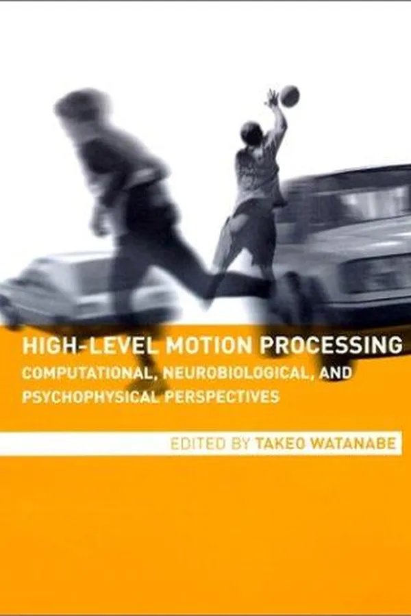 Capa de High-Level Motion Processing