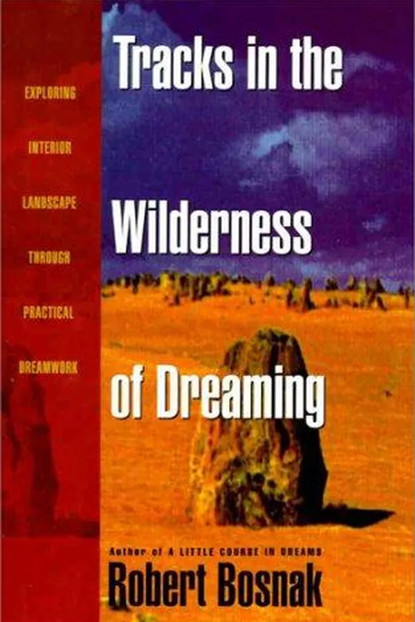 Capa de Tracks in the wilderness of dreaming