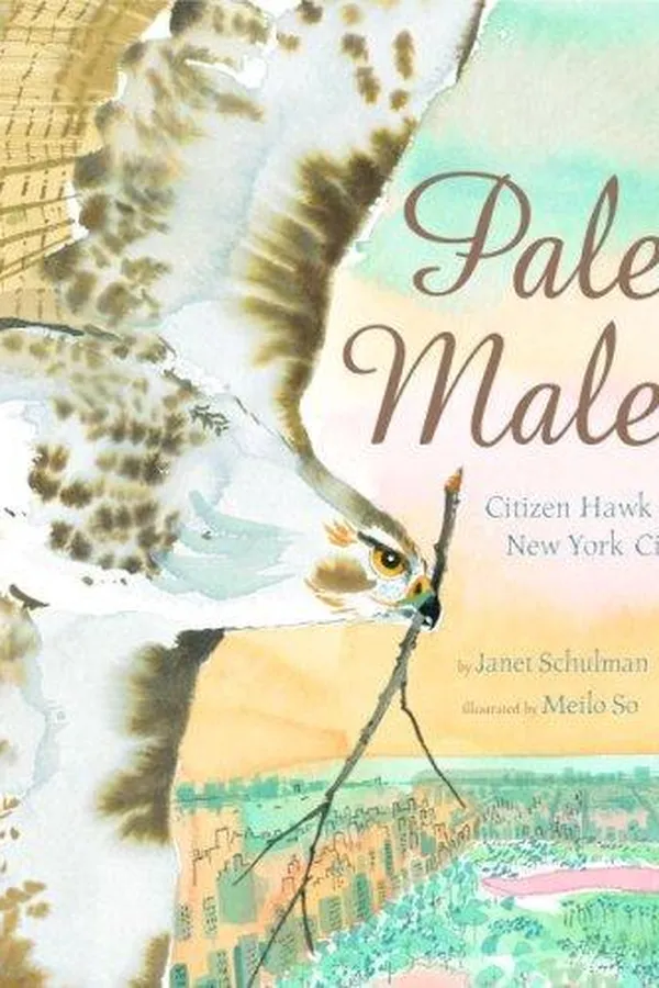 Capa de Pale Male