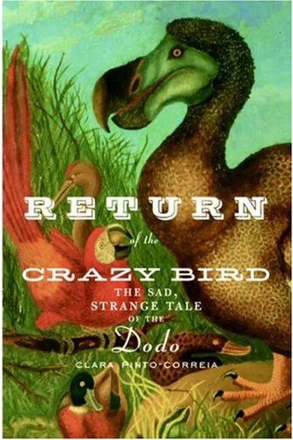 Capa de Return of the Crazy Bird