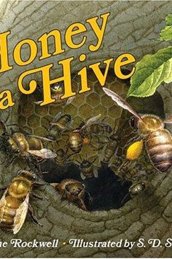 Capa de Honey in a Hive