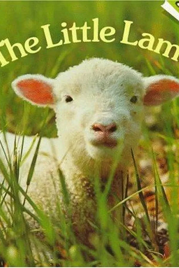 Capa de The little lamb