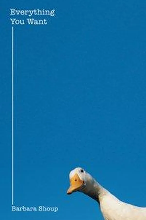 Cover of Everything you want