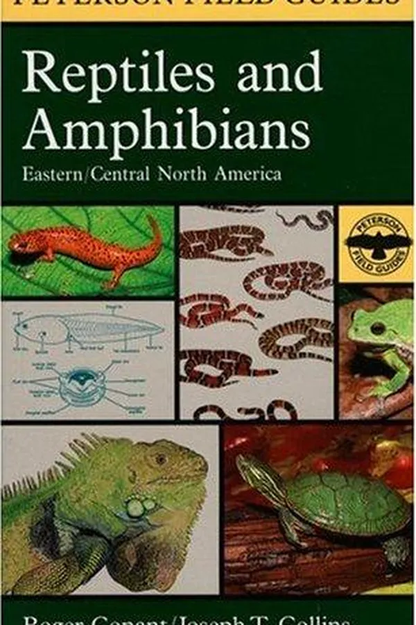 Capa de A field guide to reptiles & amphibians